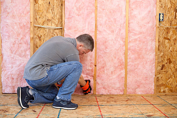 Best Fiberglass Insulation in Carthage, IL